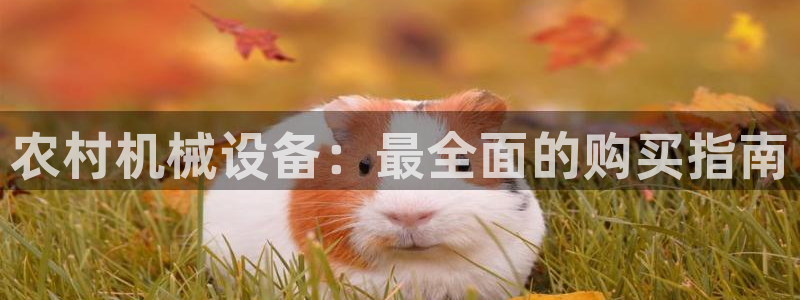 九游会老哥俱乐部官网首页