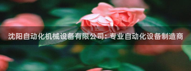 九游会a?g