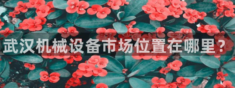九游会老哥俱乐部必备的交流社区论坛