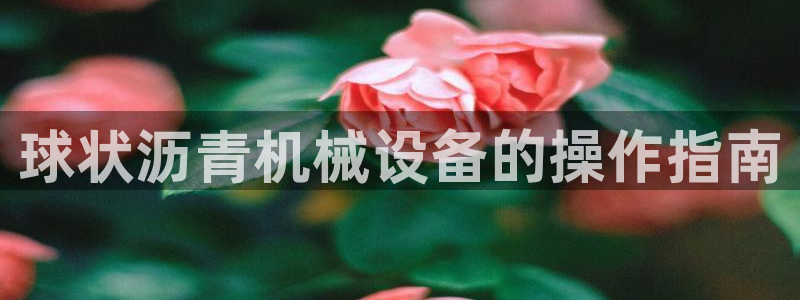 九游会官网入口