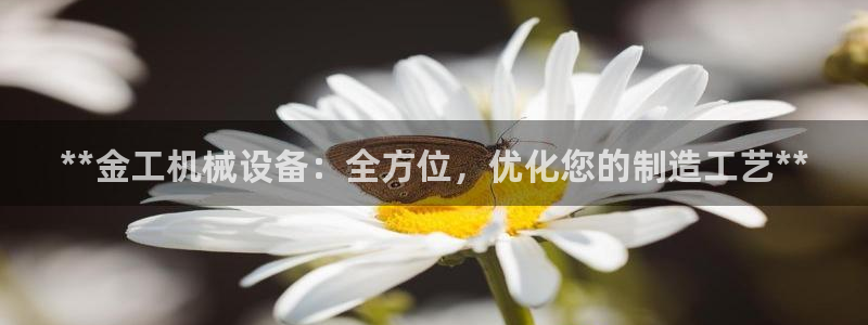 九游会网址是什么