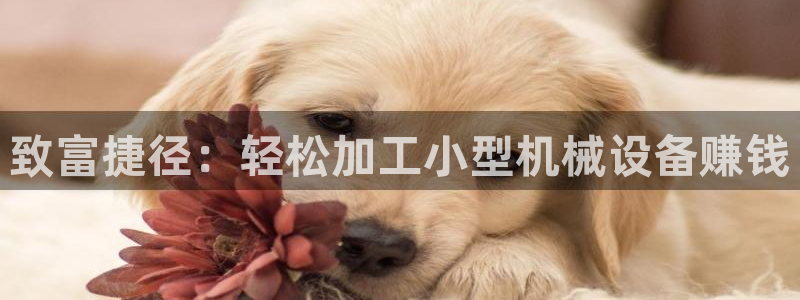 j9九游会ag私享