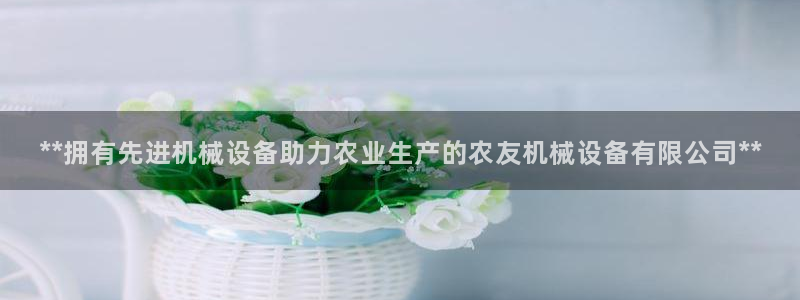 九游会ag官方网站