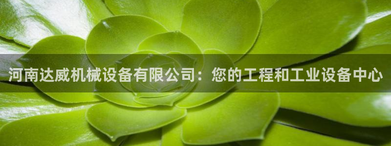 ag老玩家
