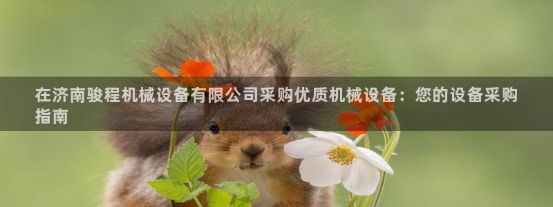 j9九游会平台