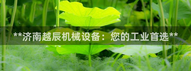 j9九游会导航