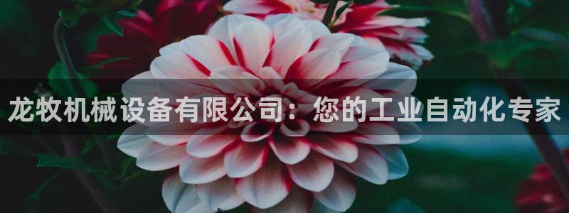 ag九游会老哥