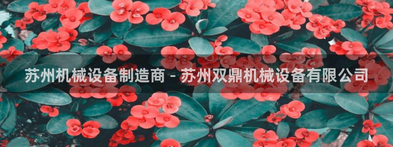 J9九游会国际站