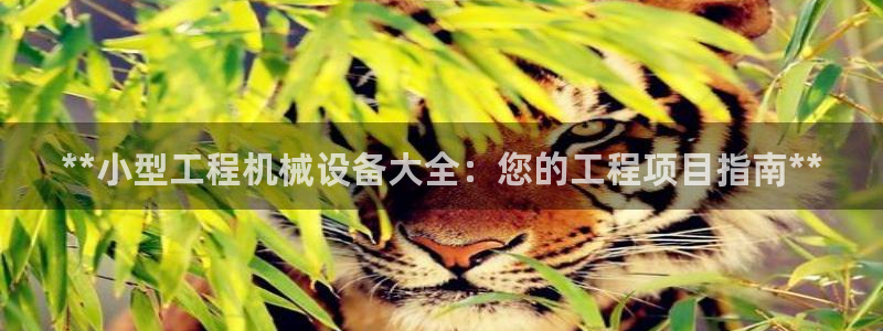 九游会是干嘛的软件