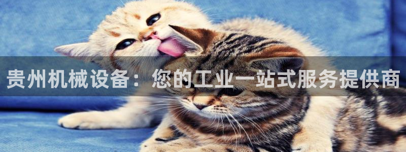 九游会黑吗