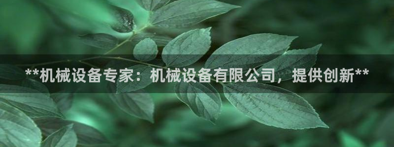 九游会登不上