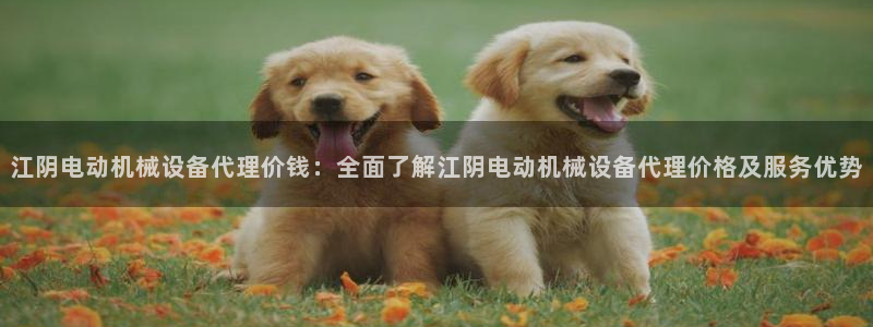 九游会是什么组织