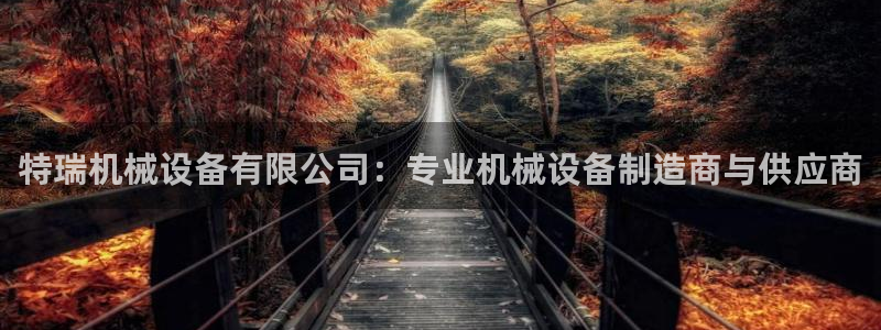 九游会官网ag旧版