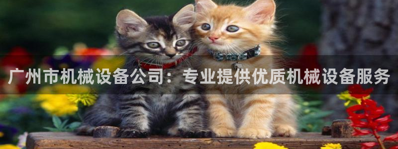j9.cn