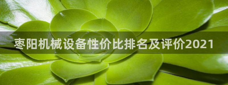 九游会亚洲唯一合作伙伴