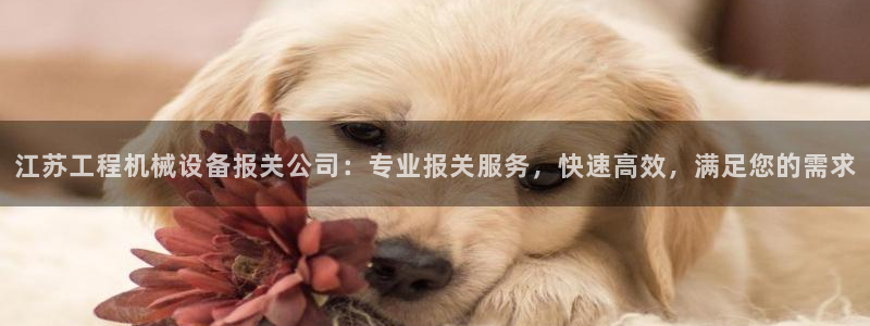 九游会真人第一品牌游戏合营