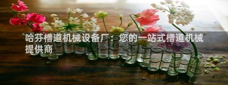 九游会亚洲唯一合作伙伴