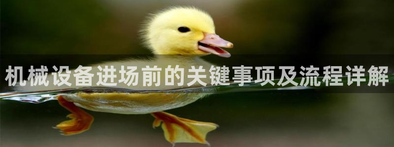 ag九游会app下载版官网正版