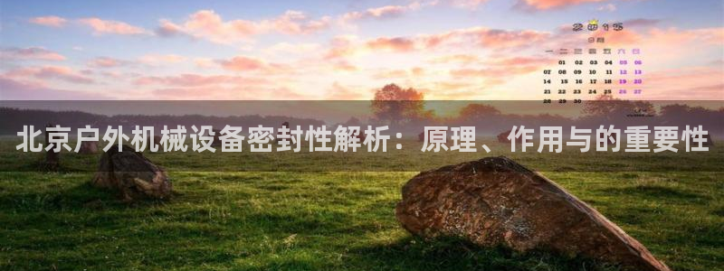 九游会老哥必备的交流社区