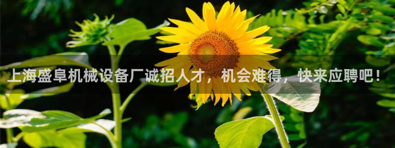 ag老队：上海盛阜机