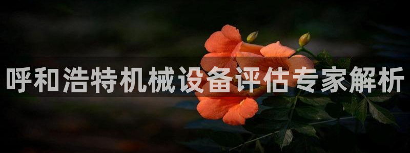 九游会官网在线