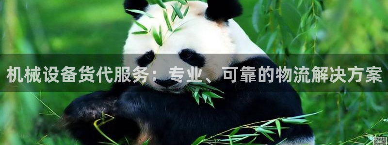 九游会官网真人认证吗安全吗