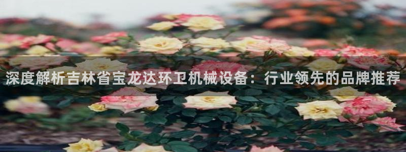 九游会游戏平台是什么