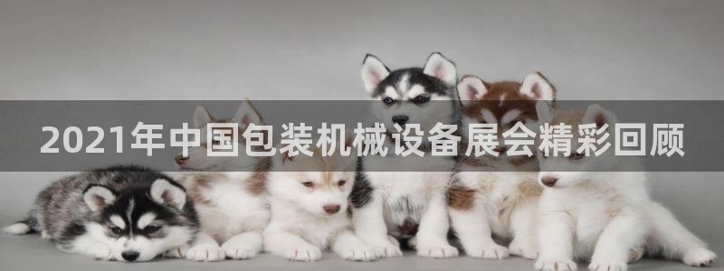 ag九游会app下载版官网正版