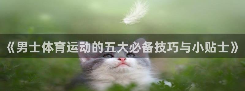 678体育官网地址