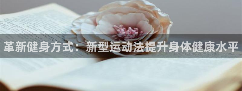 678体育app
