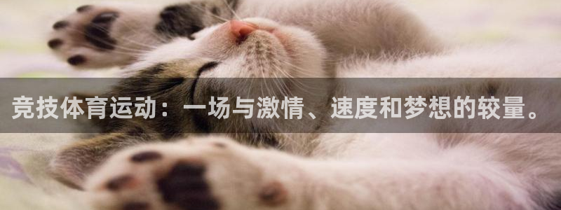 678体育官网下载