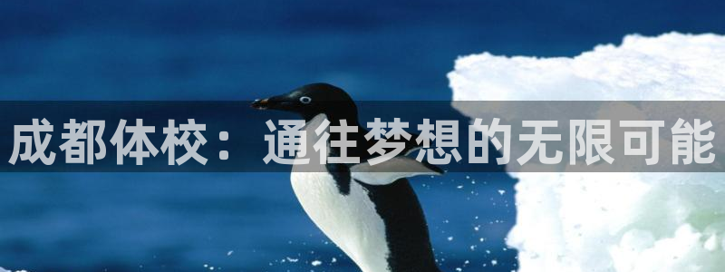 皇冠678体育