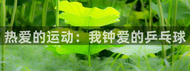 678体育官网地址