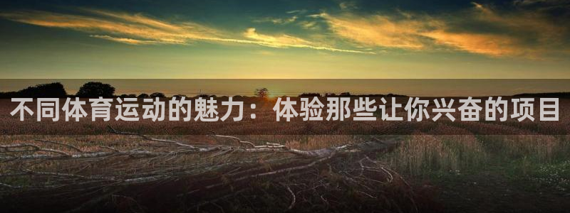 678体育官网