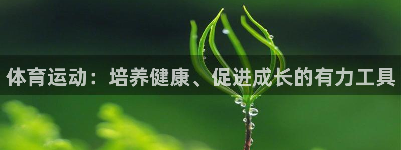 678体育app