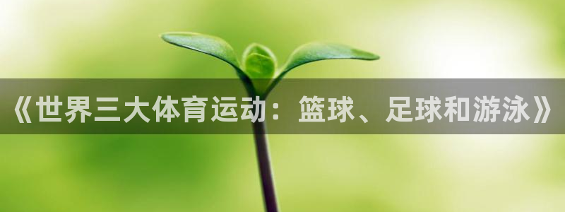 678体育app