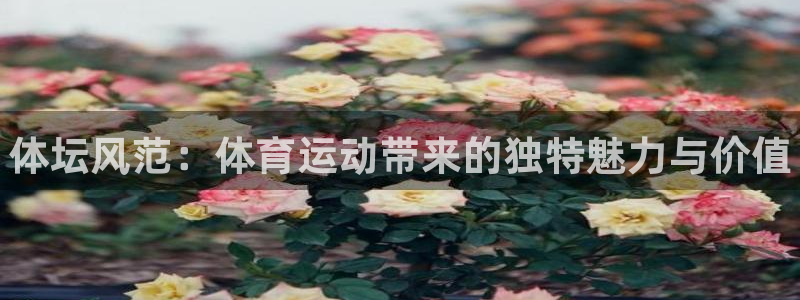 678体育
