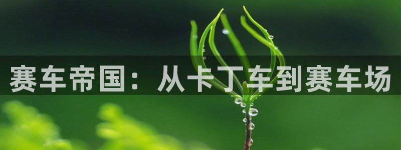 678体育官网