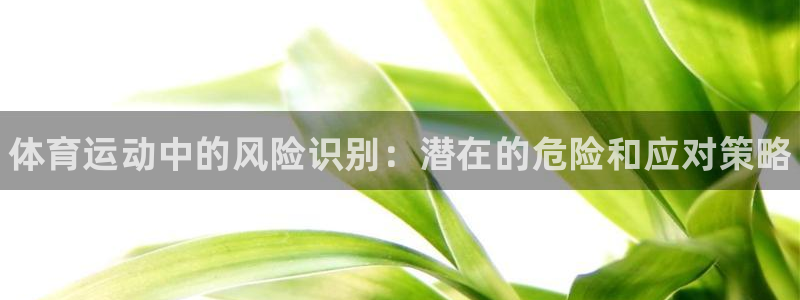 678体育官网下载