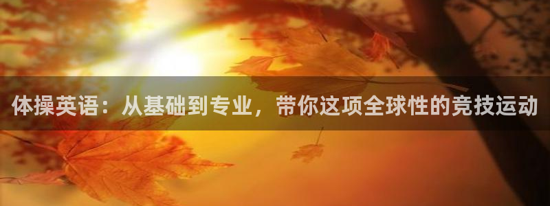 678体育官网地址