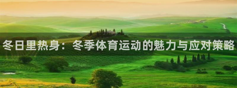 678体育官网