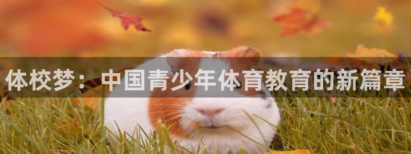 678体育官网地址
