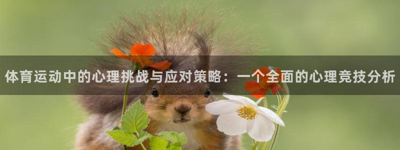 678体育官网