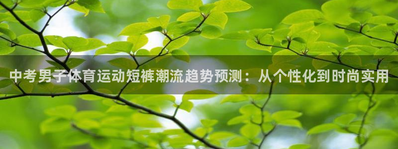 678体育官网下载