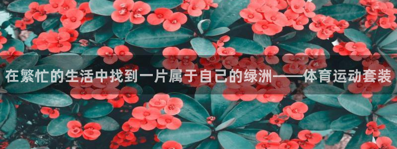 皇冠678体育