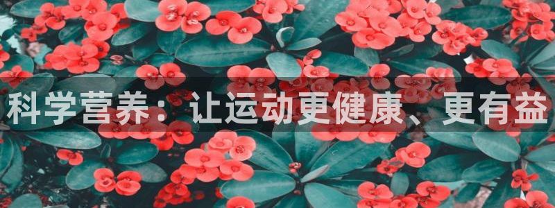 678体育官网地址