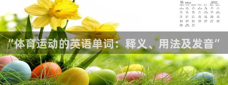 678体育app