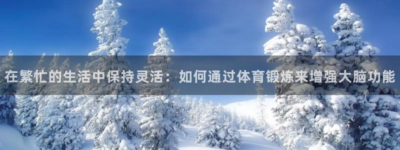 678体育官网