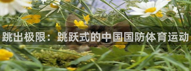 678体育官网下载
