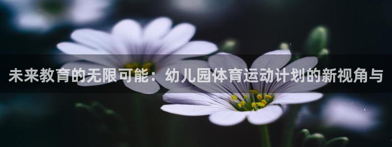 678体育官网